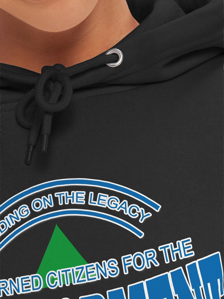 CONCERNED CITIZENS FONTANA HOODIE product image (7)