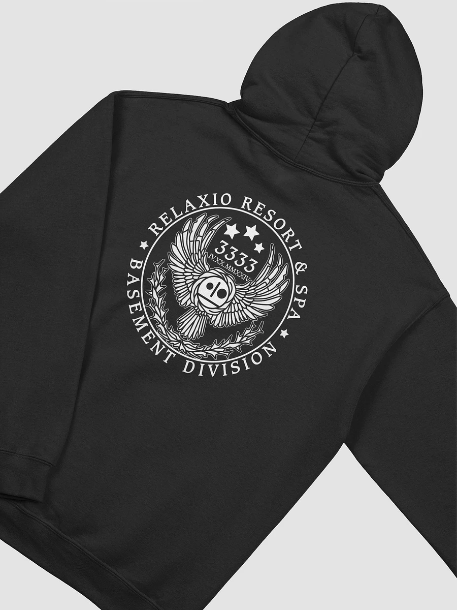 Basement Division Hoodie product image (4)