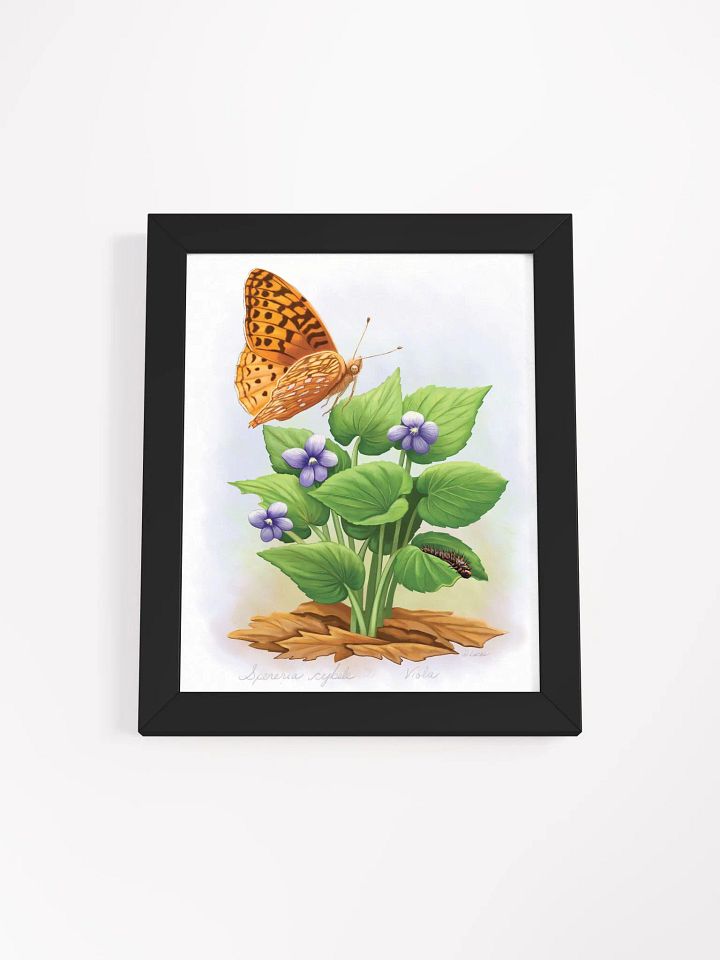 Fritillary Butterfly product image (3)