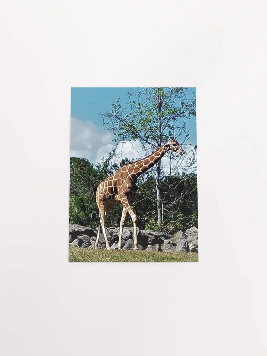 Giraffe product image (39)