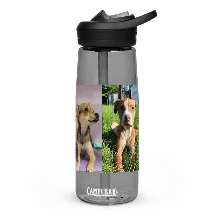 All The Pets Bottle! product image (1)