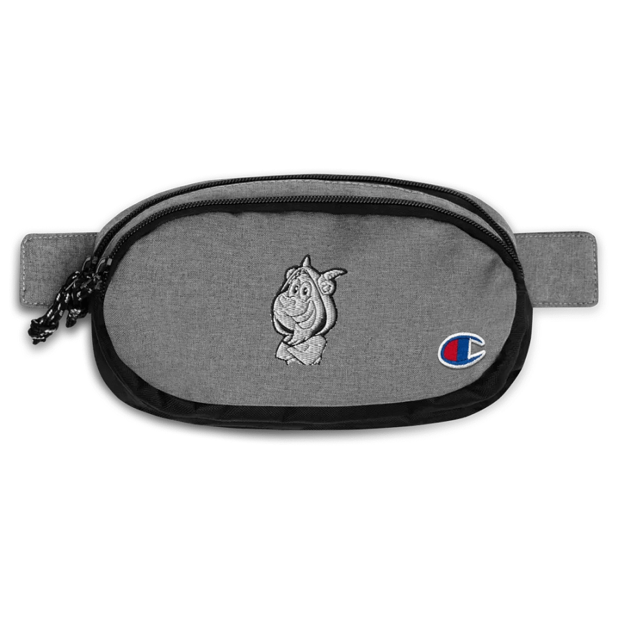 TLG FANNY PACK product image (1)
