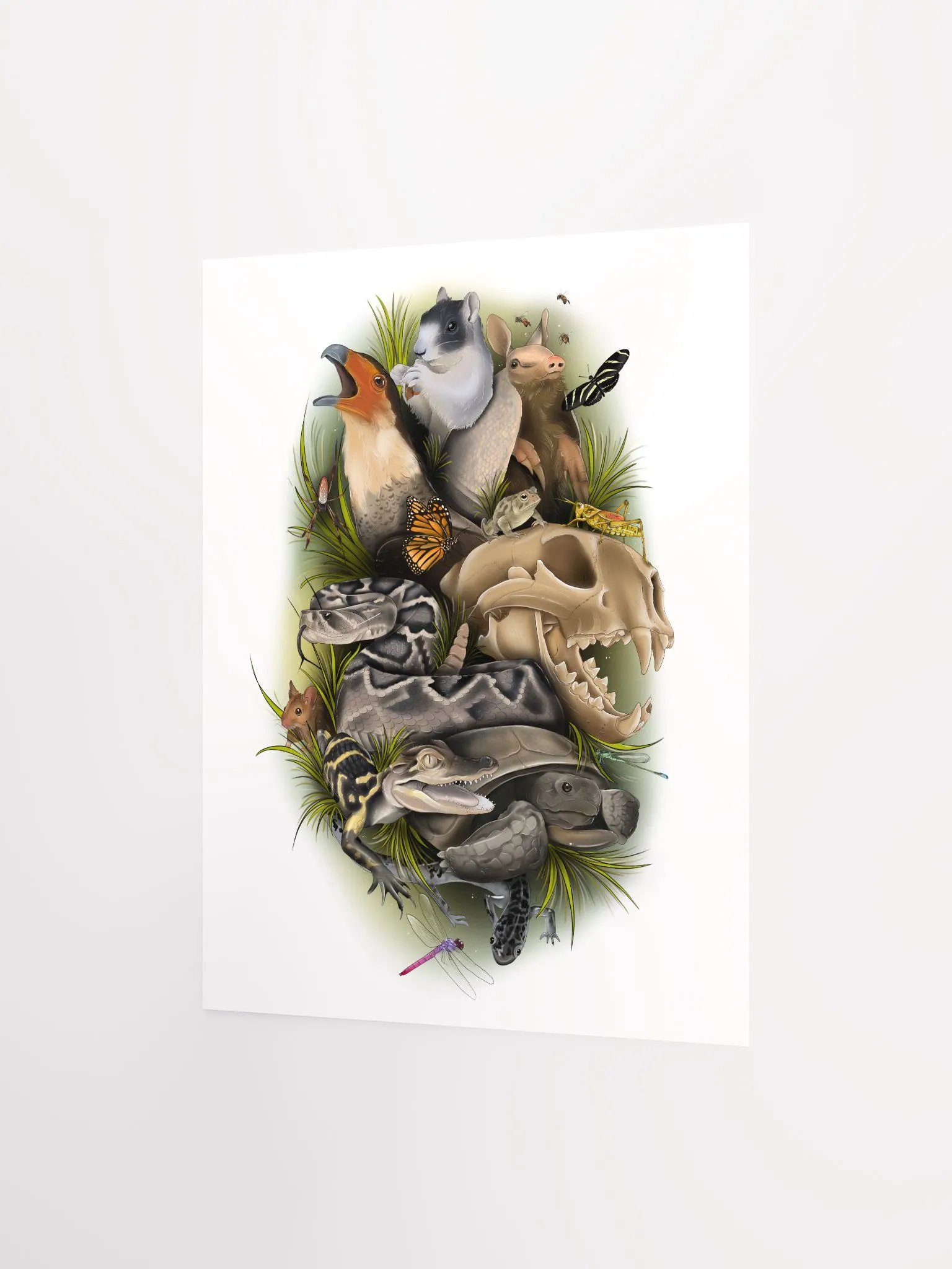 Wild Animals of Florida product image (5)