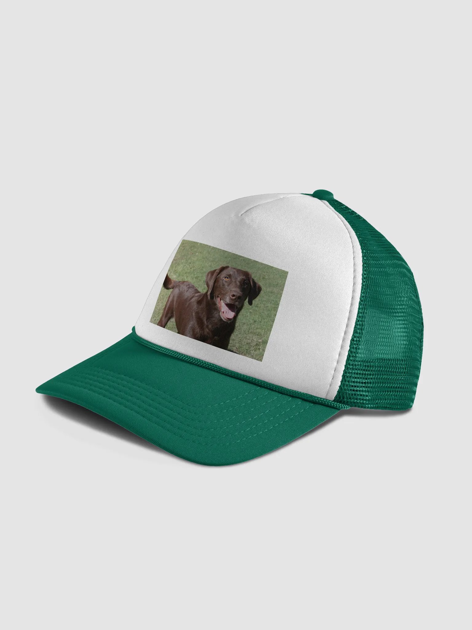 ranger product image (4)