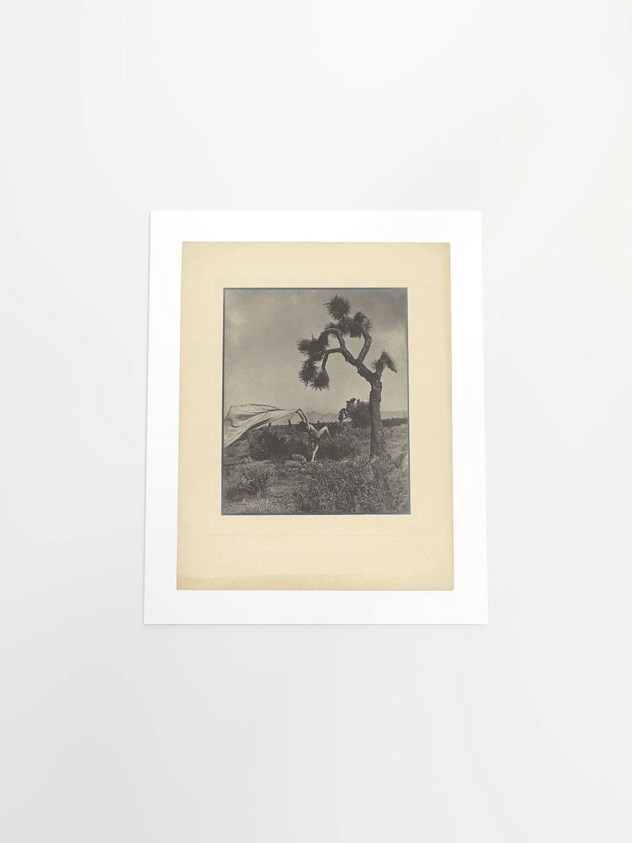 The Desert Wind By Louis Fleckenstein (1930) - Print product image (13)