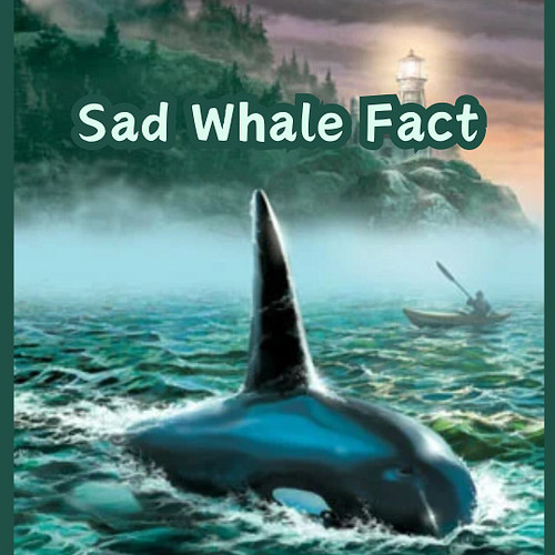 Sad whale fact! Tragic. 

#nancydrew #nancydrewgames #herinteractive #nancydrewpcgames #nancydrewmystery #dangerondeceptionis...