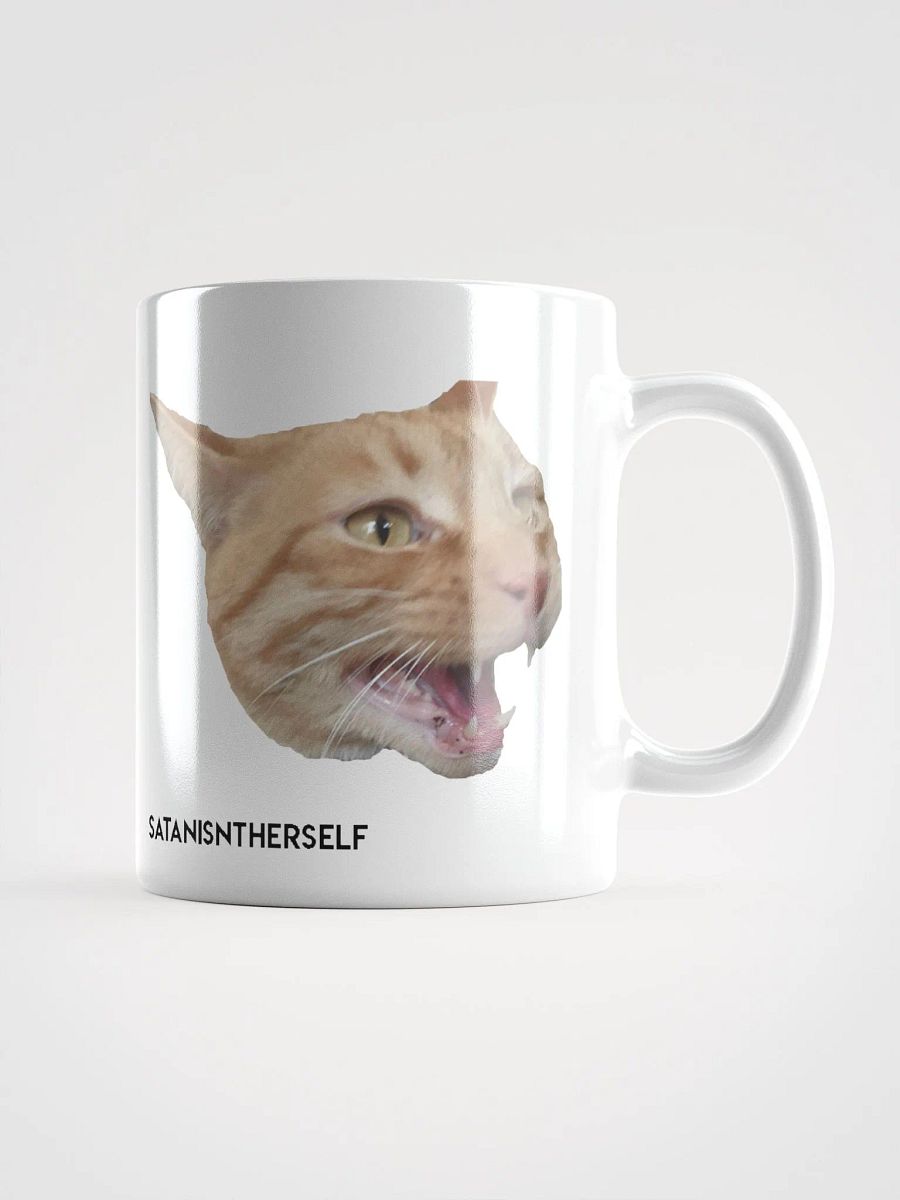 The Duality of Cat product image (1)