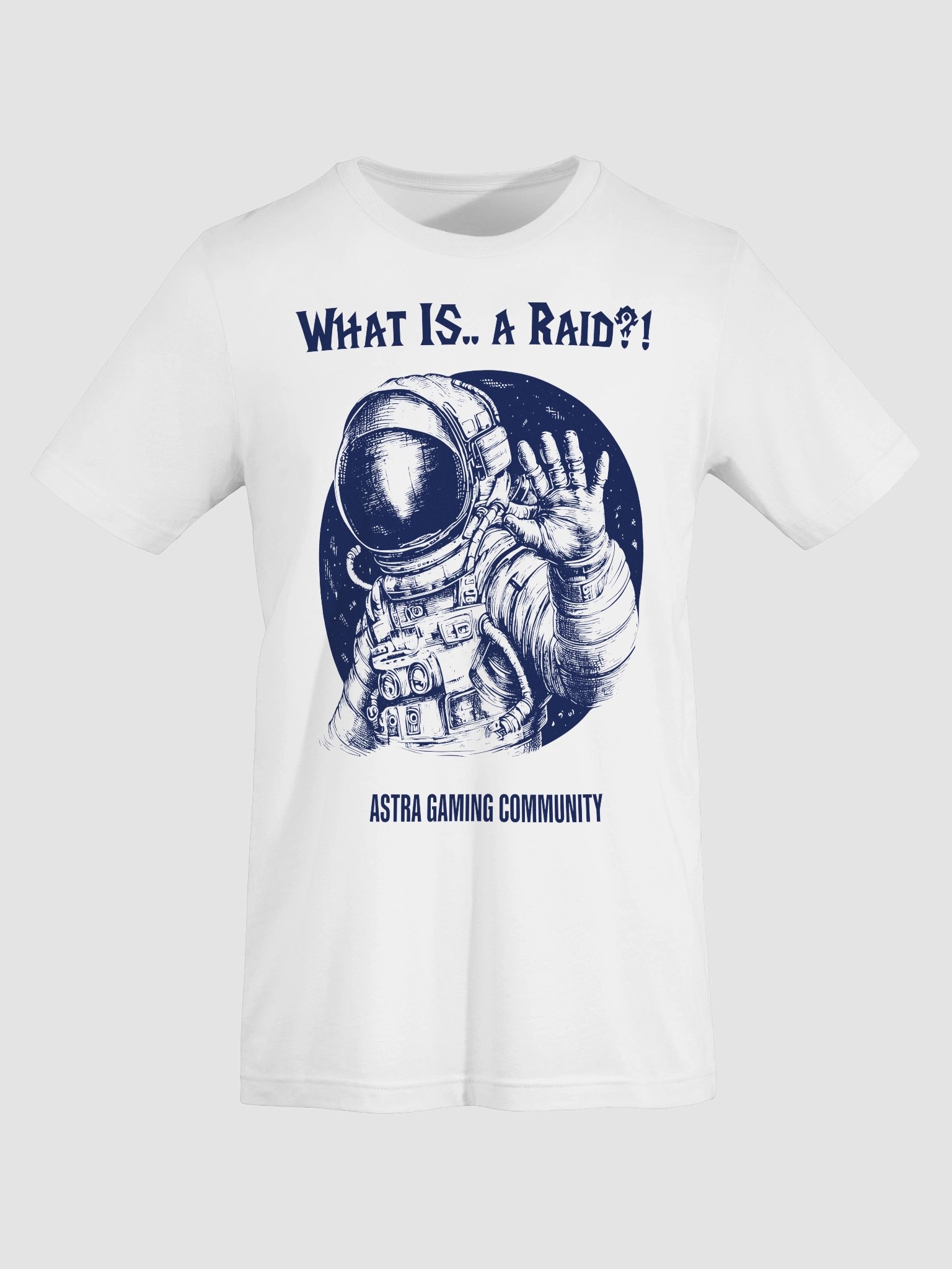 What is... a Raid? product image (7)
