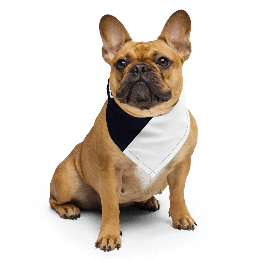 NZMOEY Bandana product image (6)
