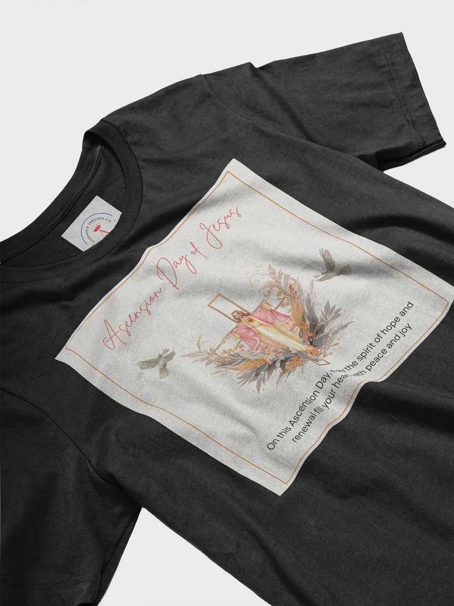 Ascension Day T-Shirt product image (22)
