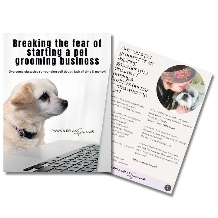 Free Business Start-Up Workbook! product image (1)
