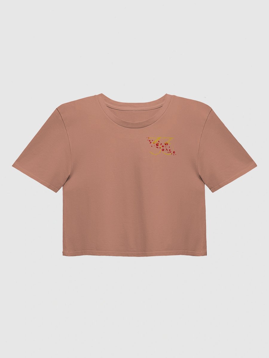 FOR THOSE WHO COME AFTER - CROP TOP product image (2)