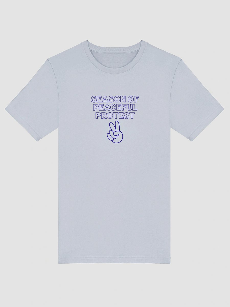 TMTS Season of Peaceful Protest product image (52)