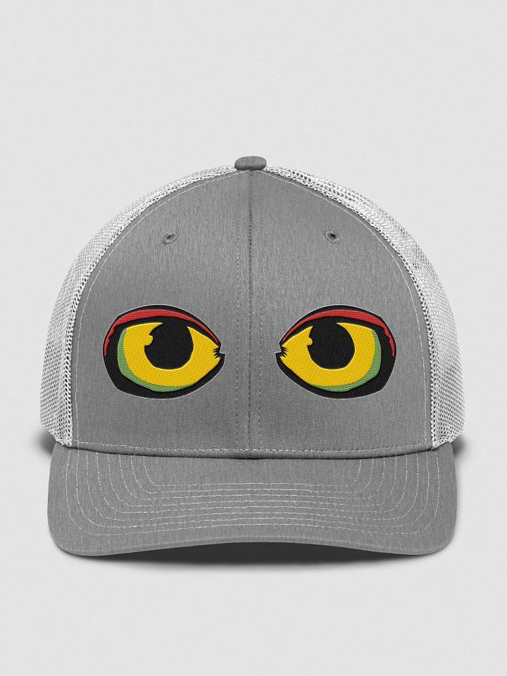 VISION TRUCKER product image (1)