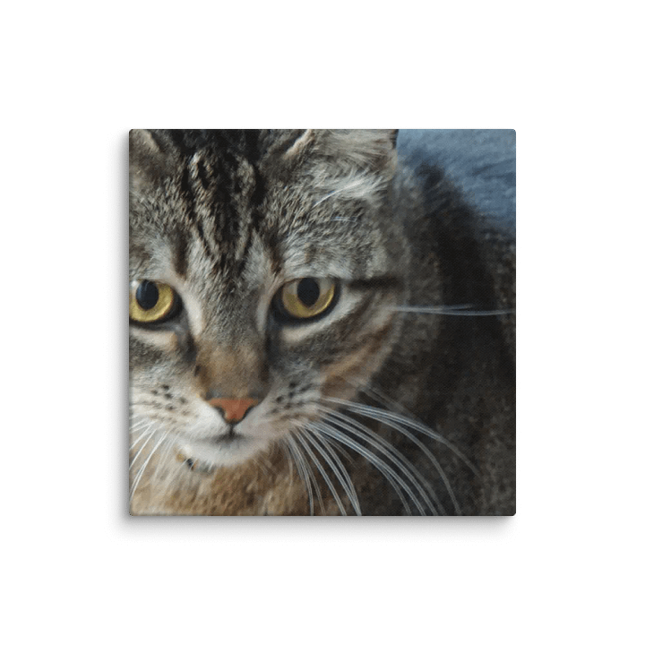 Cat Canvas product image (1)