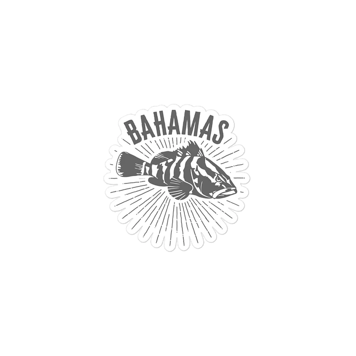 Bahamas Magnet : Bahamas Fishing Nassau Grouper Fish product image (2)
