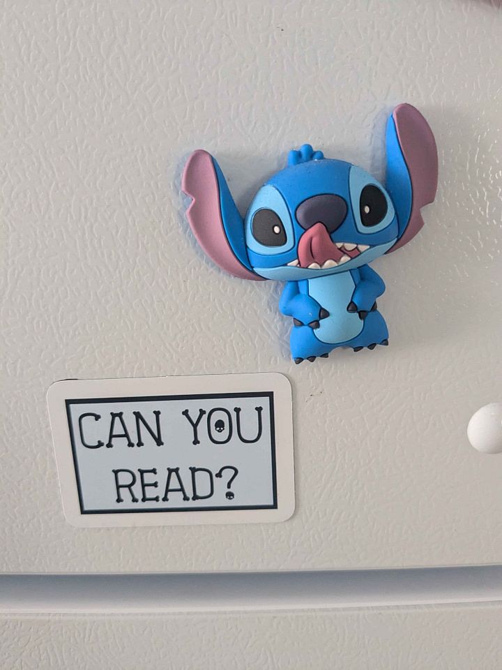 Can You Read Magnet product image (2)