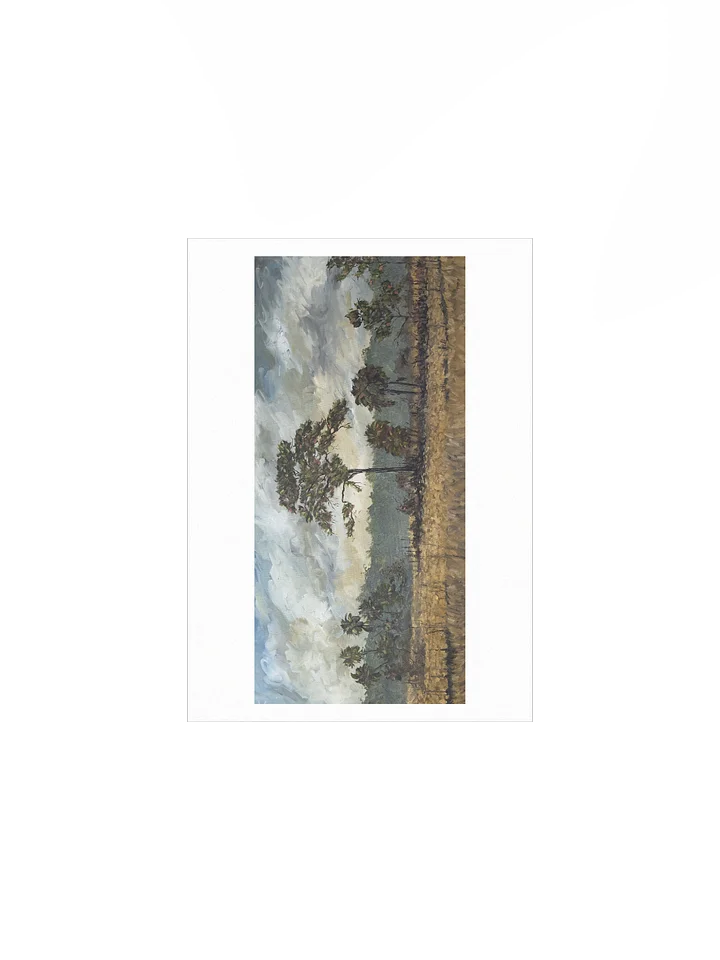 Big Cypress National Preserve Print product image (1)