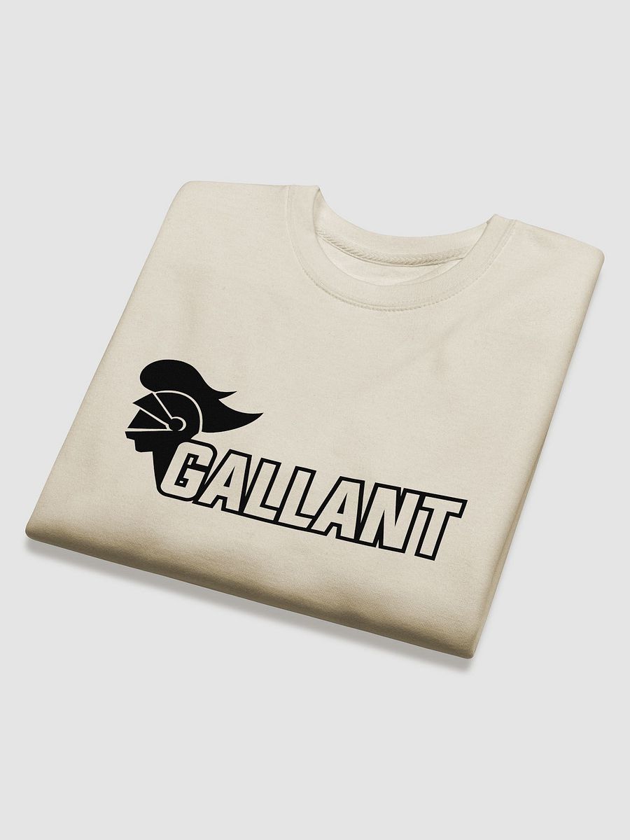 Gallant Knight Premium Sweatshirt product image (25)