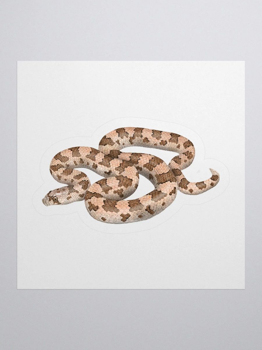 Die-Cut Sticker – Spotted Leaf-nosed Snake product image (1)