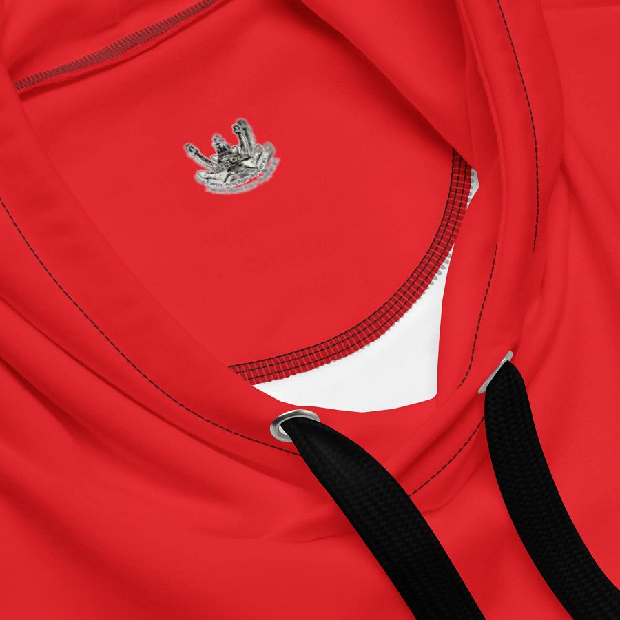 Red Triangle-Mt Raine- PNW Millennium Tug Hoodie product image (4)