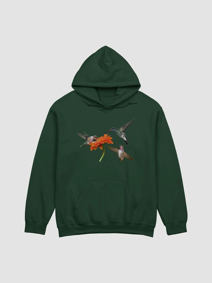 Hummingbirds Hoodie product image (1)