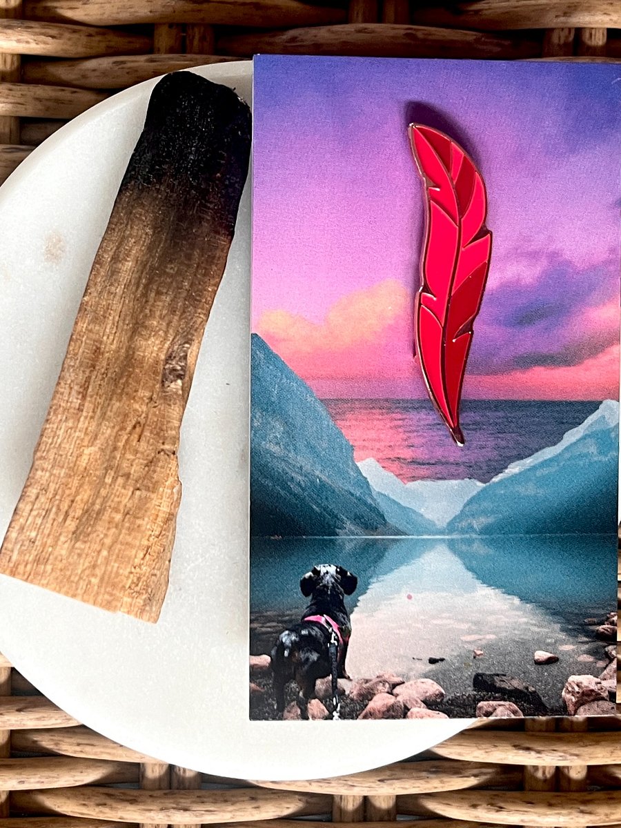 Red Feather Pin & Flash Cards product image (3)