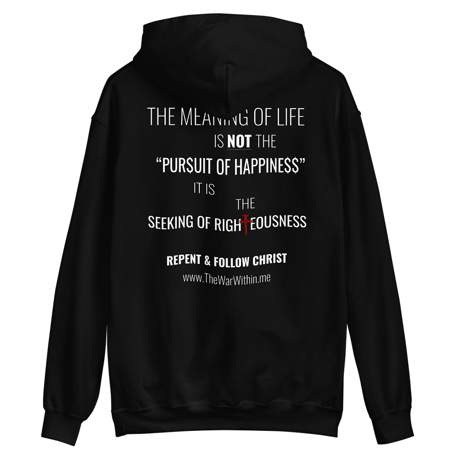 THE WAR WITHIN Hoodie product image (9)