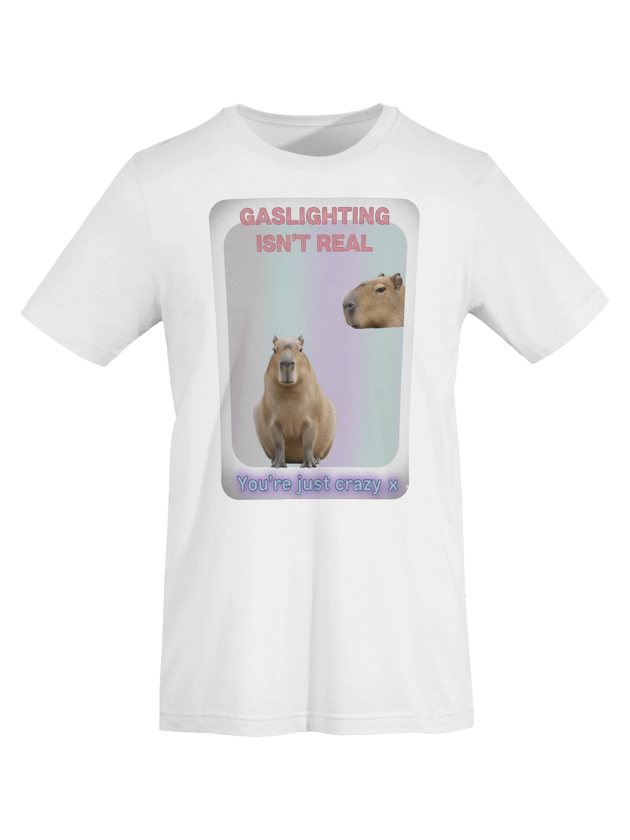 GASLIGHTING ISNT REAL product image (7)