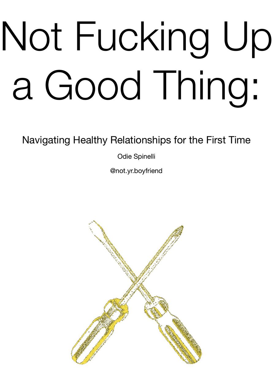 Not F*cking up a Good Thing: Navigating Healthy Relationships for the First Time product image (1)