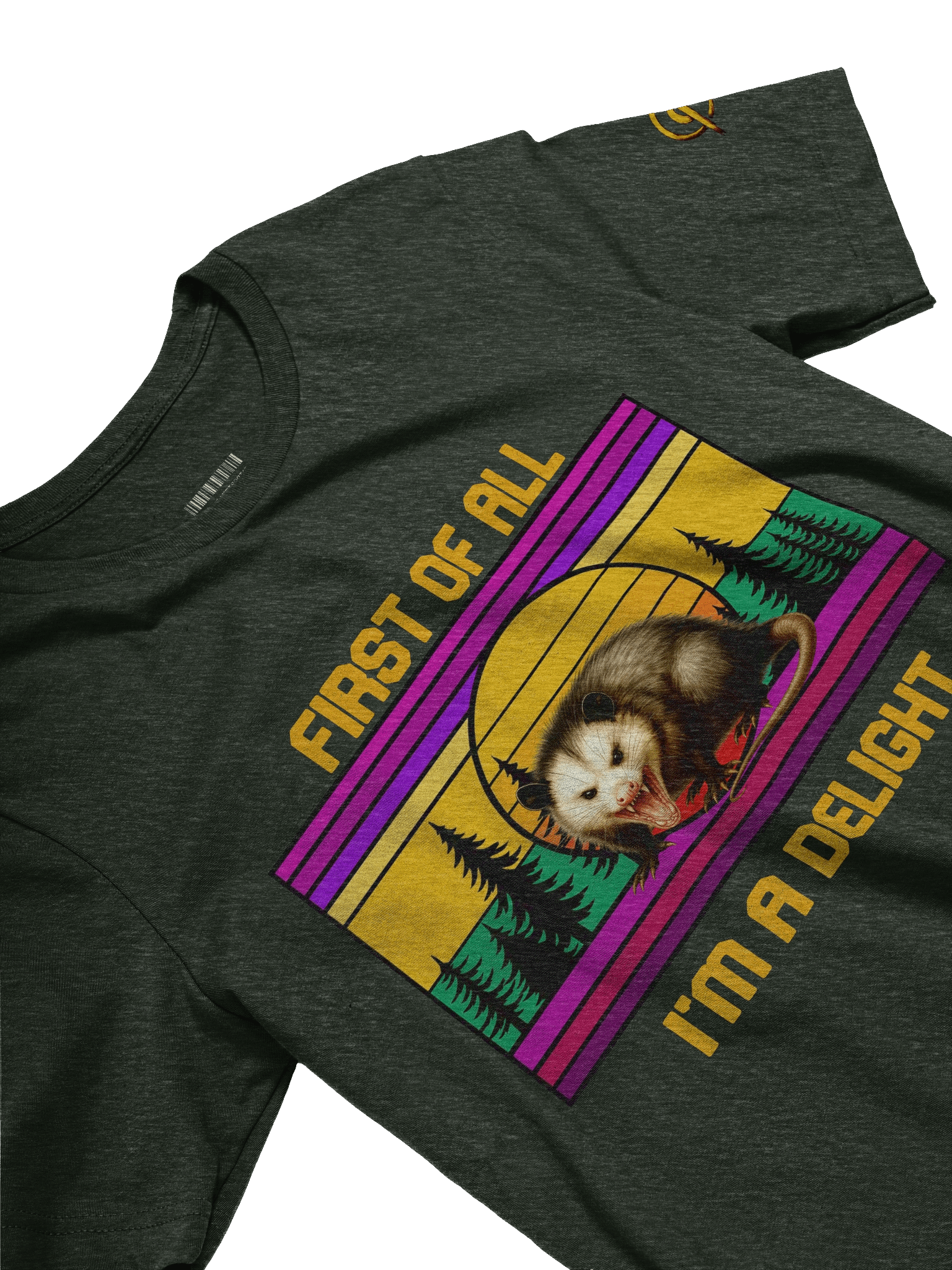 PASP Possum “I’m A Delight” Tee – Fall Edition product image (3)