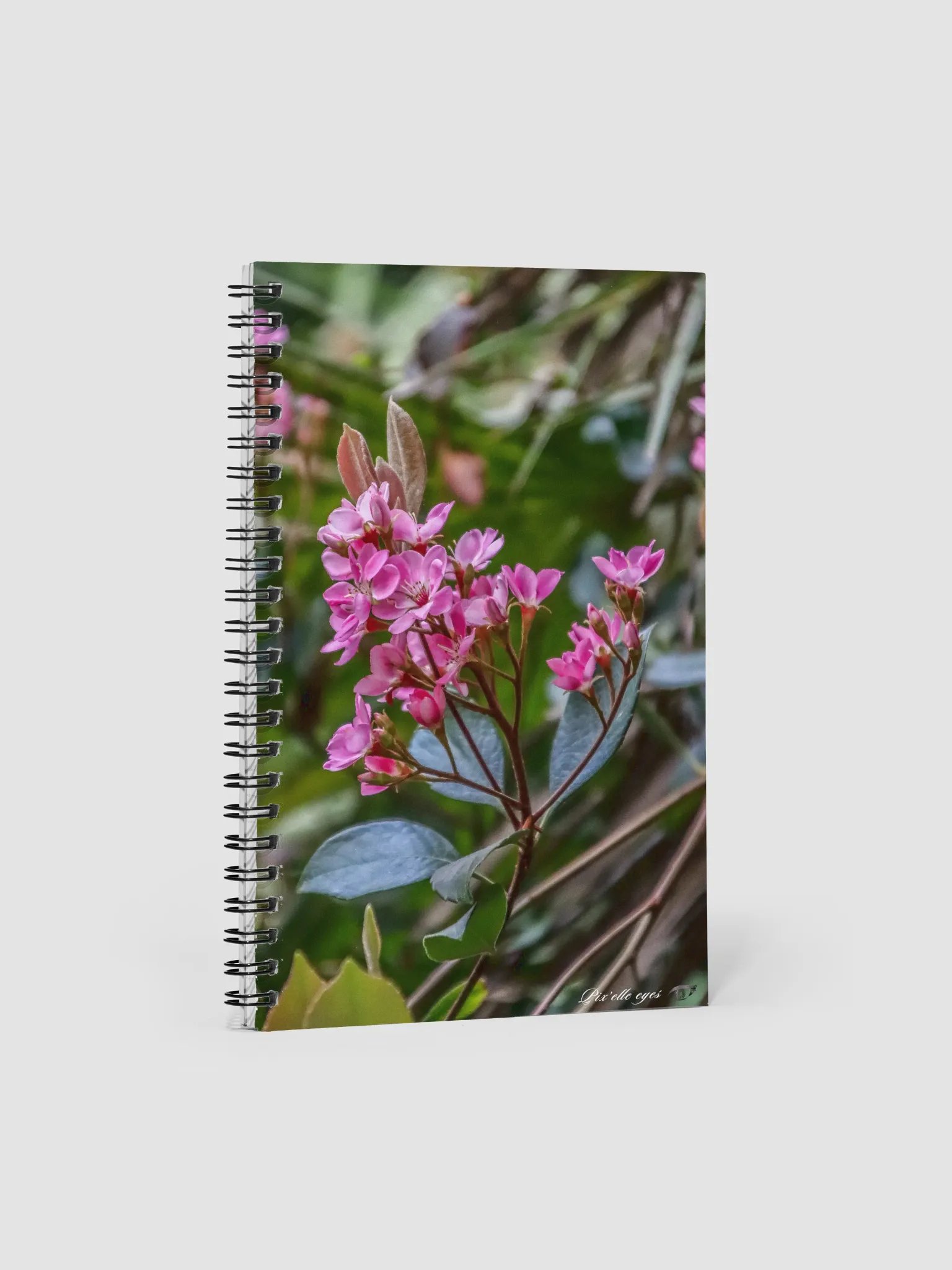 📓 Notebook Collection PURE – Jardin du Rayol – Rhaphiolepis Indica product image (1)