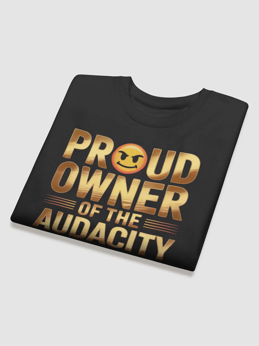 Audacious Owner Cotton Sweatshirt product image (4)