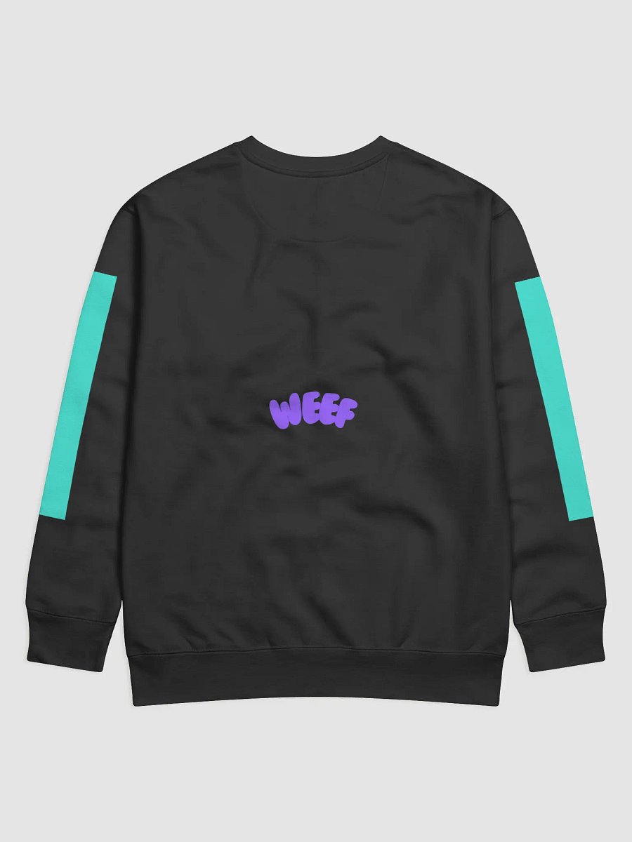 Black and Cyan Hoodie product image (2)