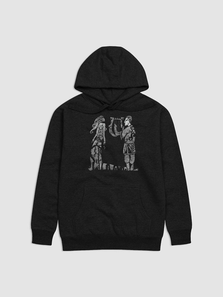 Hoodie - Sal product image (1)