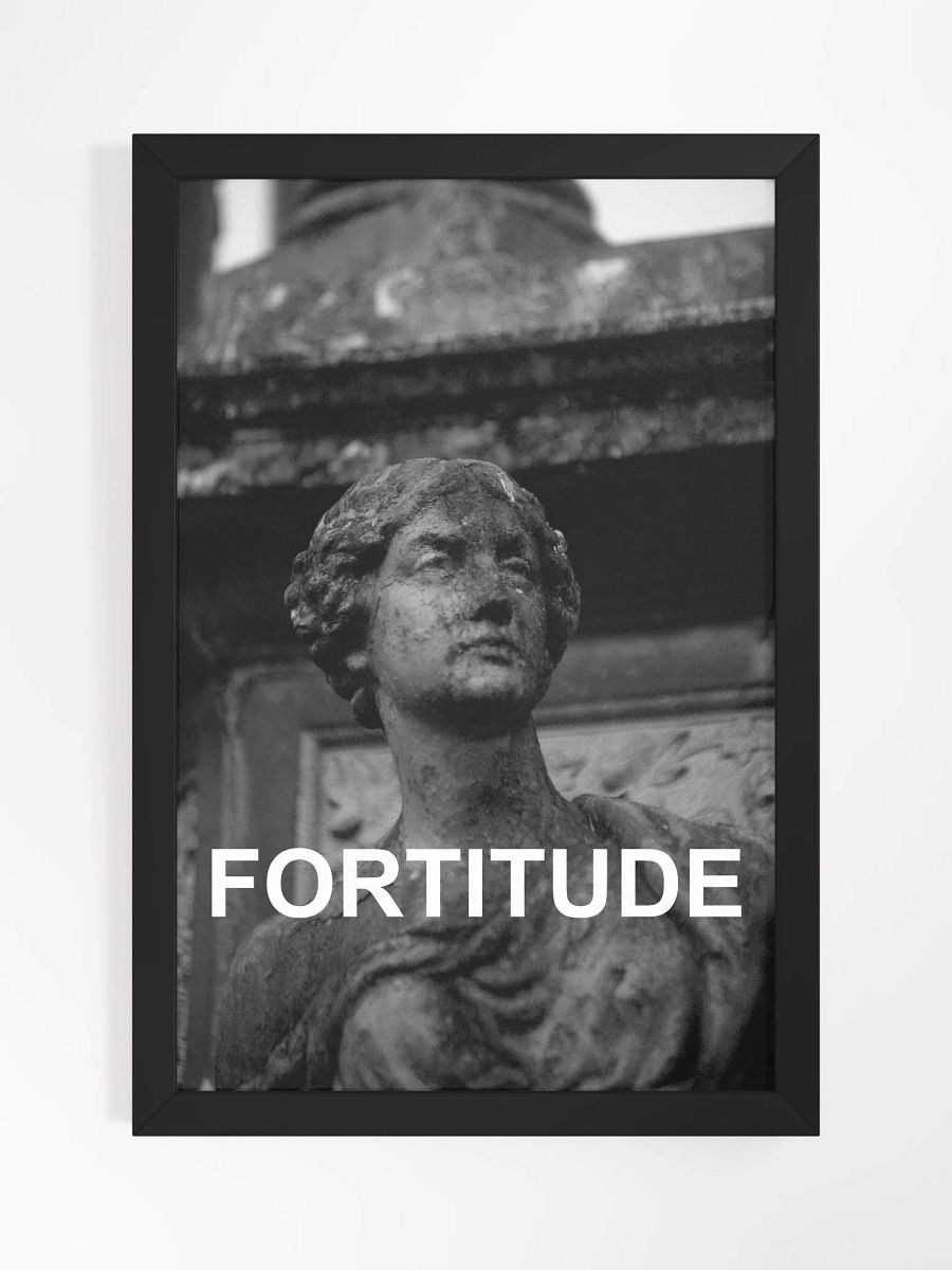 Framed Fortitude Photograph product image (1)