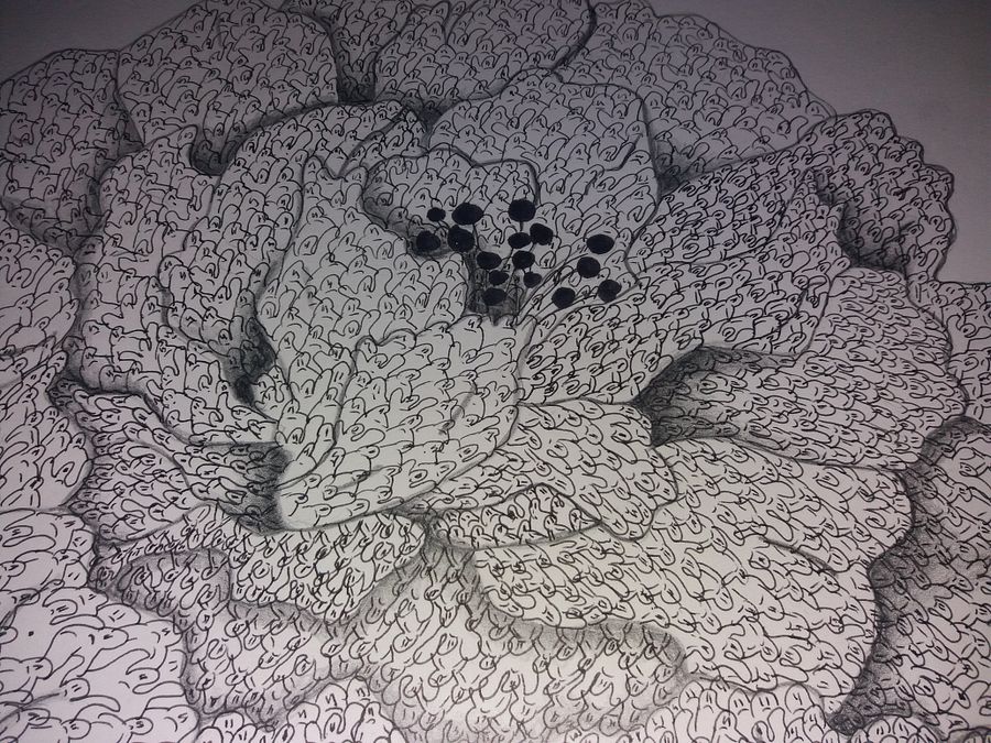 rose product image (3)
