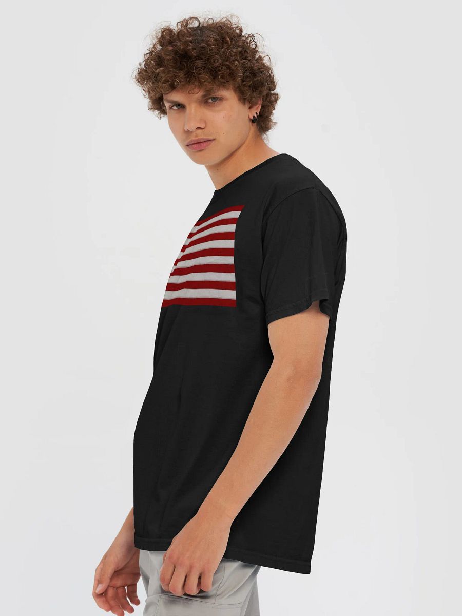US Flag Cotton Heritage Premium Heavyweight T-Shirt product image (72)