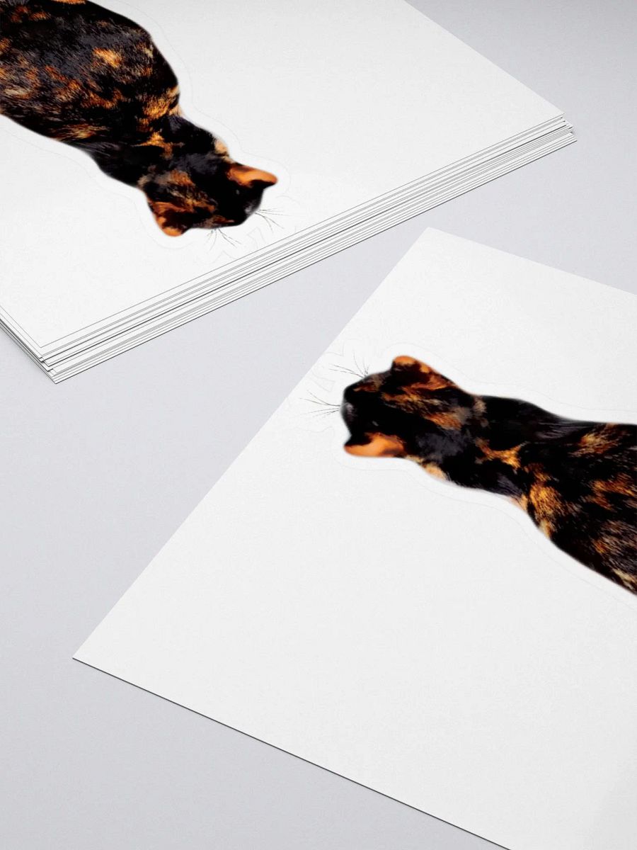 Sticker Ripley Cat product image (4)