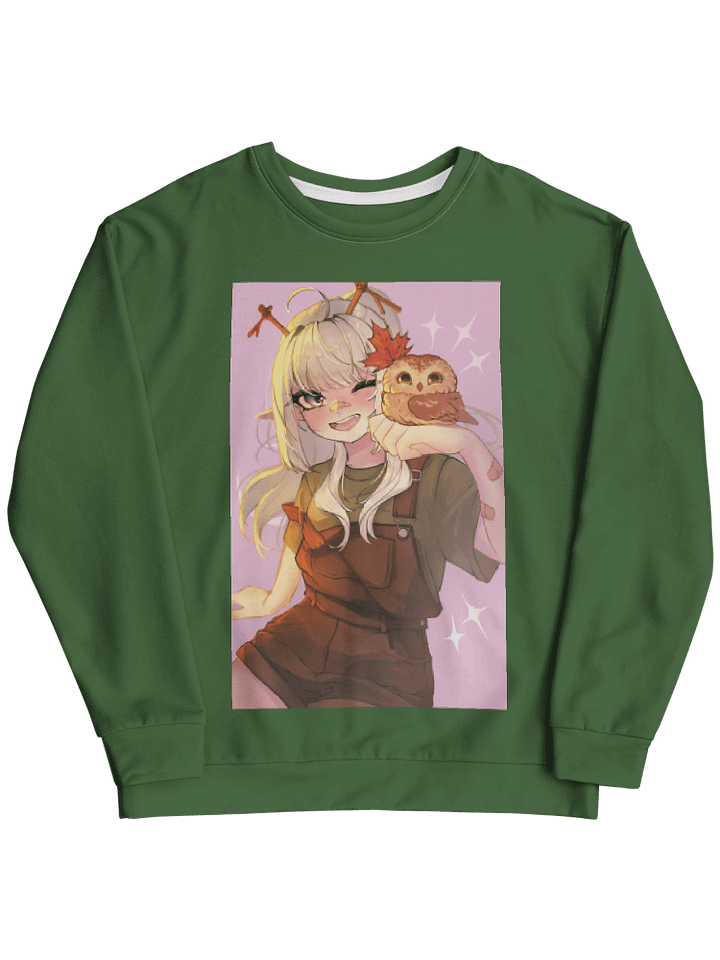 Northern Saw-whet Owl Sweater product image (1)