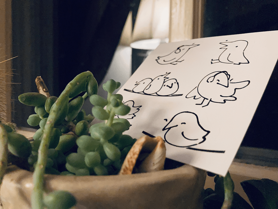 Doodle Birbs product image (3)
