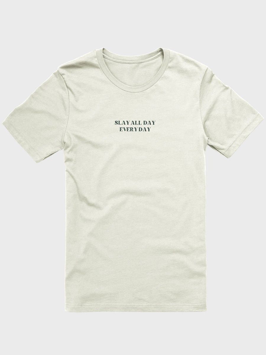 Slay All Day Everyday Supersoft T-Shirt product image (4)