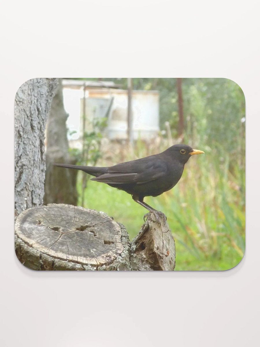 Classic Mouse Pad - The common blackbird product image (2)