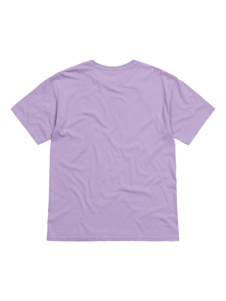 A Total Snub T-Shirt(Embroidered) of a Boston Terrier(Brindle & White) product image (42)