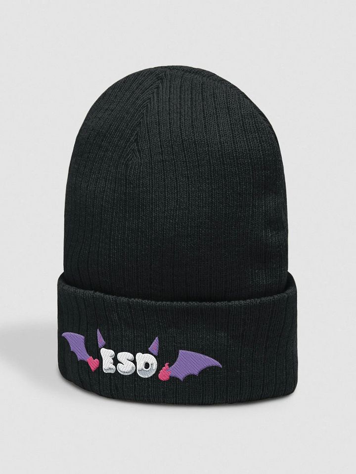 ESD winged beanie product image (2)
