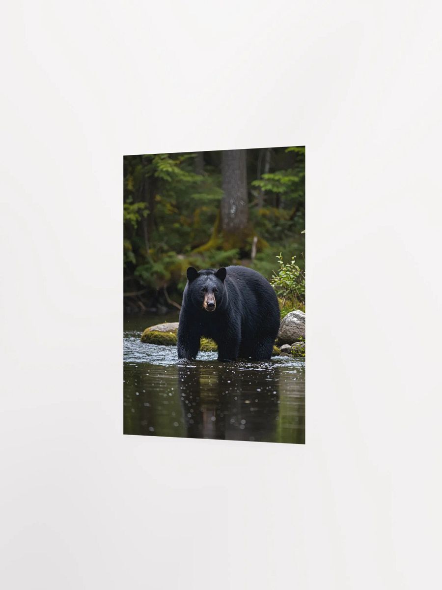 Smoky Mountain Black Bear Cove Poster product image (6)