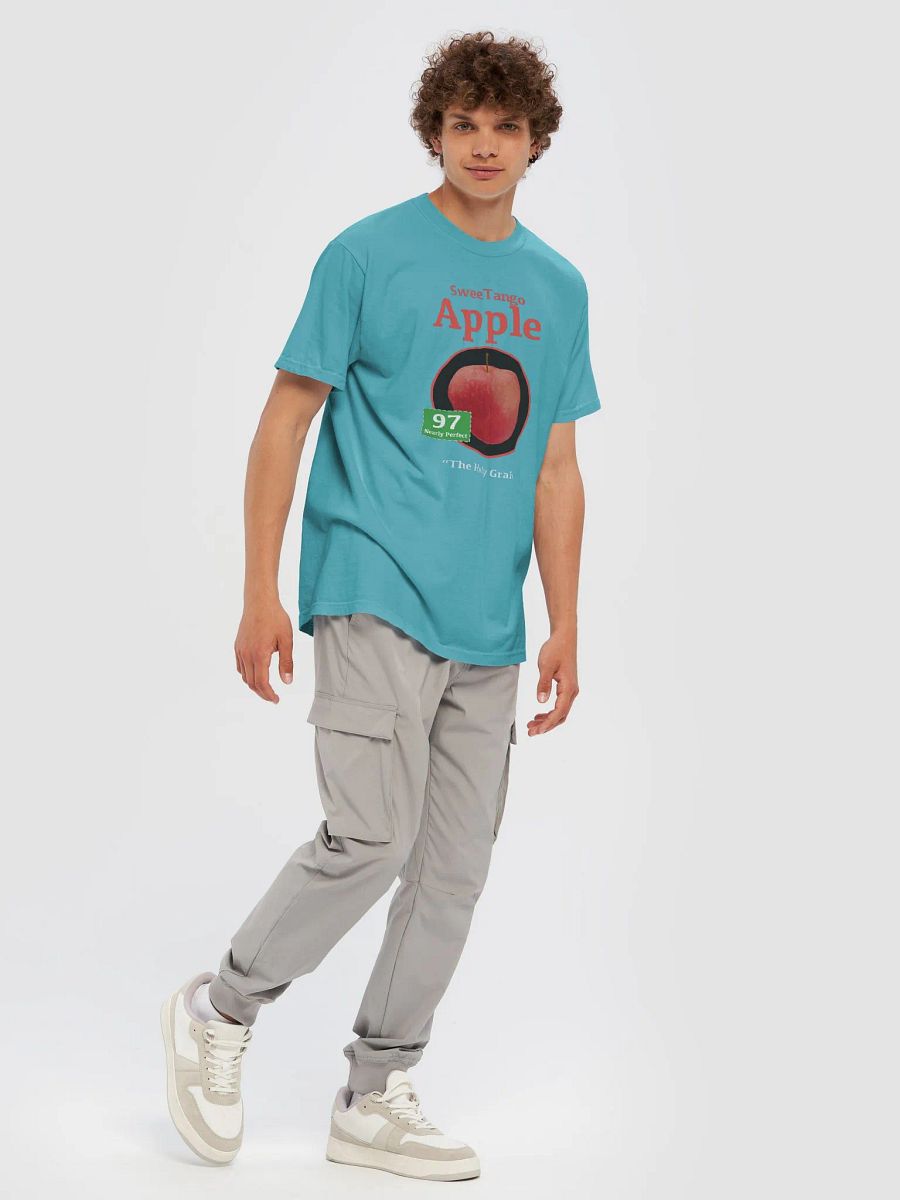APPLE RANKINGS: SWEETANGO APPLE T-SHIRT (Regular Fit) product image (15)