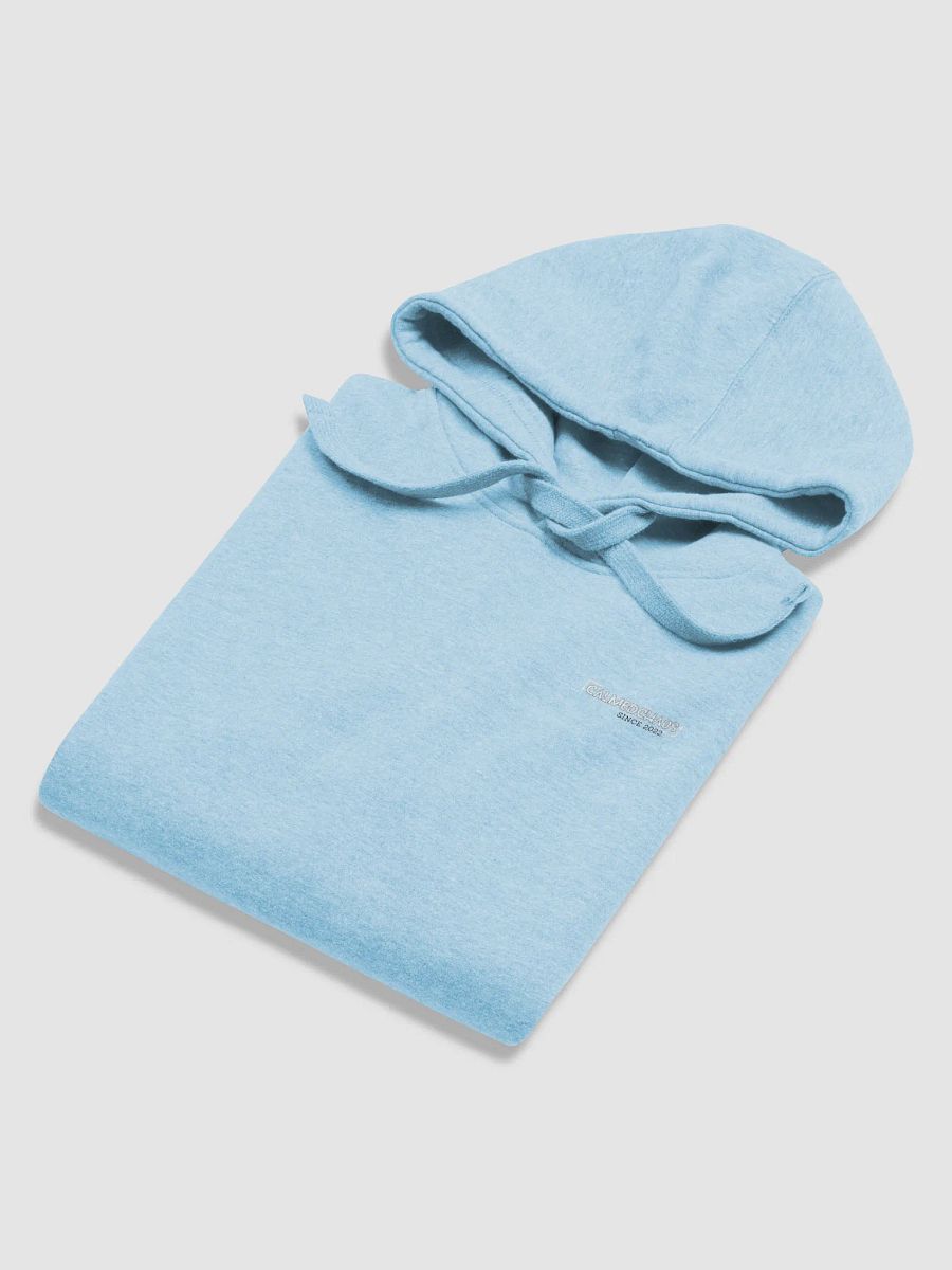 Pin me Hoodie product image (6)
