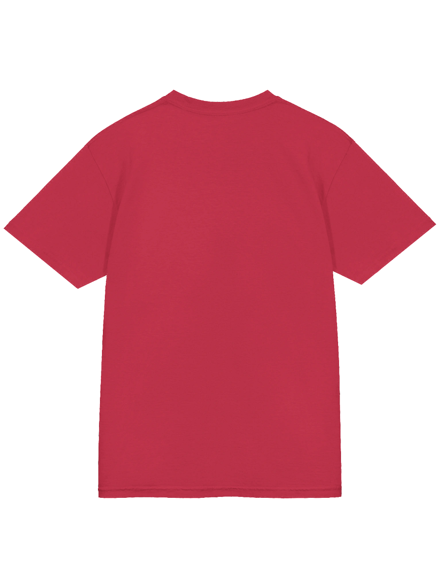 More Than a Parent - I`m Called | Christian Comfort Colors t-shirt| Parkinson Awareness | Gift to Parents product image (7)