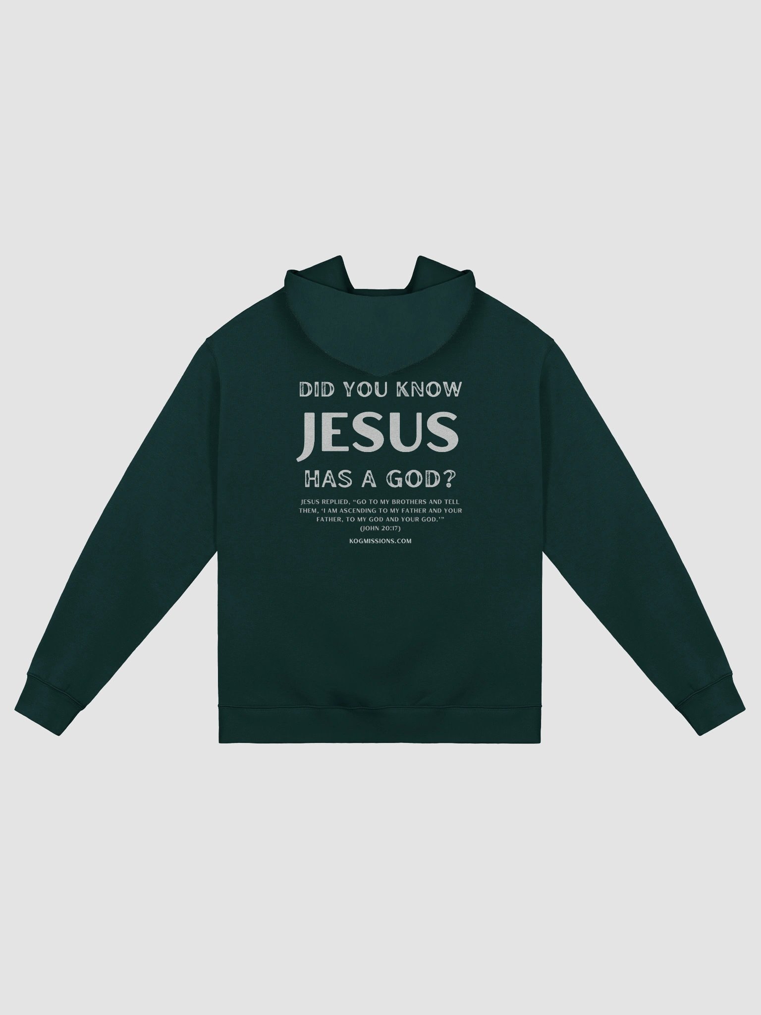 Jesus Has a God Premium Oversized Hoodie product image (5)